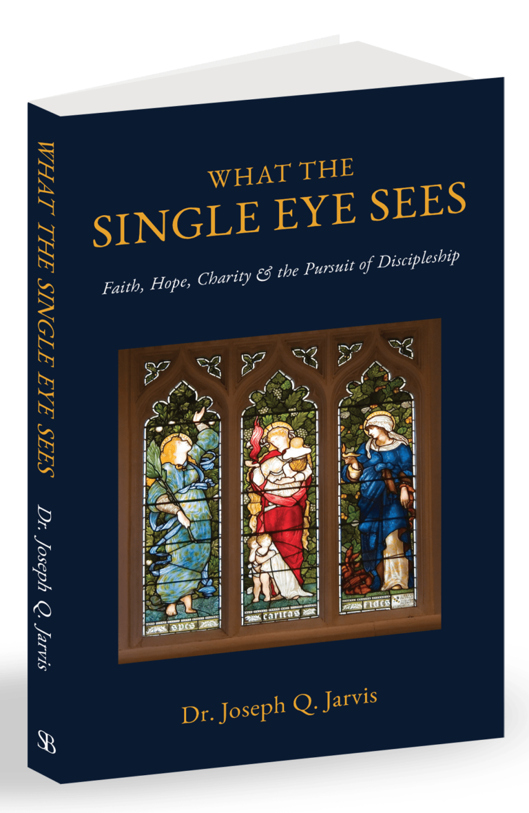 What the Single Eye Sees book cover